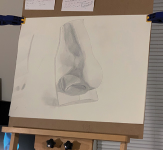 Drawing of a nose